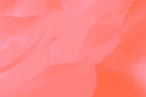 Mjuk Ljus Rosa Korall Färg Flödande Tyg Lutning Korall Bakgrund — Stockfoto