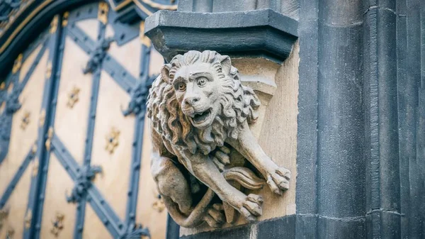 Stone statue lion at the facade of New City Hall in Munich, Germany. Details, panorama