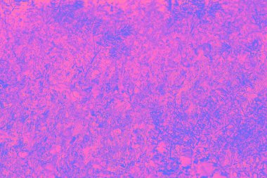 Çiçek desenli arka plan. Fuşya mavisi menekşe rengi, bitki deseni