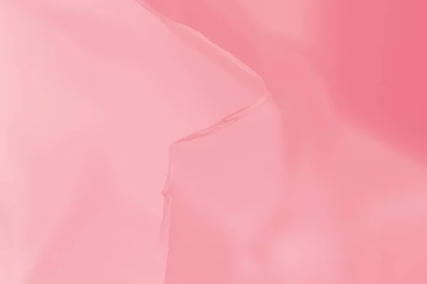 粉色珊瑚的背景模糊不清 呈渐变色 — 图库照片