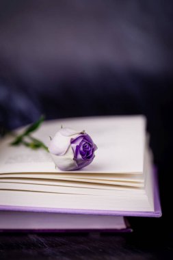 Güzel açık mor Eustoma ya da lisianthus veya Prairie Gentian çiçeği ve koyu arkaplan üzerine kitap, kopyalama alanı
