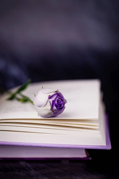 Schöne hellviolette Eustoma oder Lisianthus oder Prärie-Enzian-Blume und Buch auf dunklem Hintergrund, Kopierraum — Stockfoto