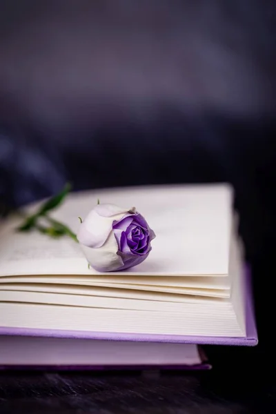 Güzel açık mor Eustoma ya da lisianthus veya Prairie Gentian çiçeği ve koyu arkaplan üzerine kitap, kopyalama alanı