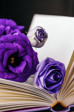 Güzel menekşe Eustoma veya lisianthus veya prairie gentian çiçekleri ve koyu arkaplan üzerine kitap, boşluğu kopyala