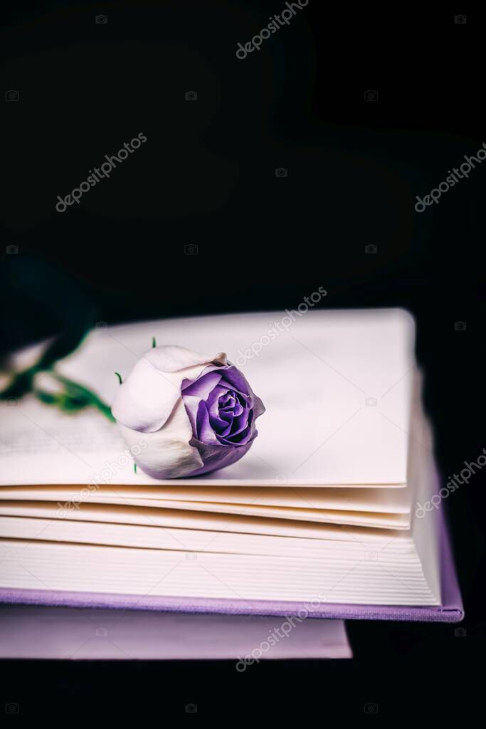 Beautiful light violet eustoma or lisianthus flowers and book on black background. Copy space
