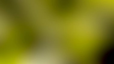 Bulanık parlak sarı doku. Ufuk arka plan. 3D render illüstrasyon