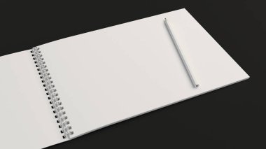 Kalem ile çizim albüm