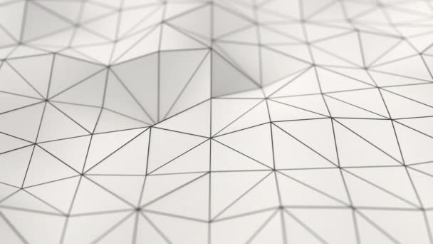 Fundo Animado Abstrato Feito Forma Poligonal Branco Baixa Poli Superfície — Vídeo de Stock