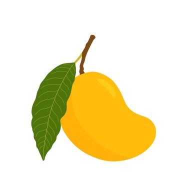 Yeşil yapraklı, olgun sarı bir mangonun, temiz beyaz bir arka planda izole edilmiş, minimalist vektör çizimi. Sağlıklı beslenmeyi, tropikal temaları veya meyvelerle ilgili tasarımları teşvik etmek için mükemmel..