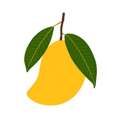 Olgun sarı bir mango ve beyaz bir arka planda izole edilmiş taze yeşil yapraklar. Tropikal meyve, sağlıklı beslenme ve canlı tasarım elementleri kavramları için mükemmel..