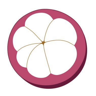 Mor bir kabuğa karşı beyaz iç kısımlarını gösteren, tropikal ve egzotik doğasını vurgulayan mangosteen meyve bölümünün canlı bir çizimi.