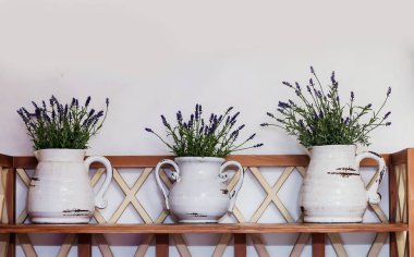 çiçekler lavanda içeren tablo