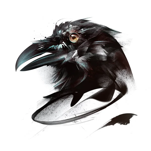 Malowane kolor portret ptak Wrona na białym tle na stronie — Zdjęcie stockowe