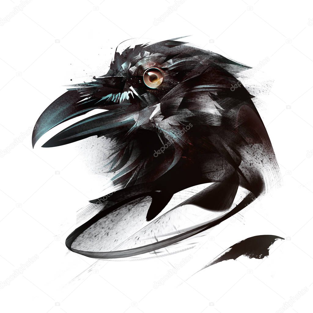 Sketch color portrait of bird crow on white background on side
