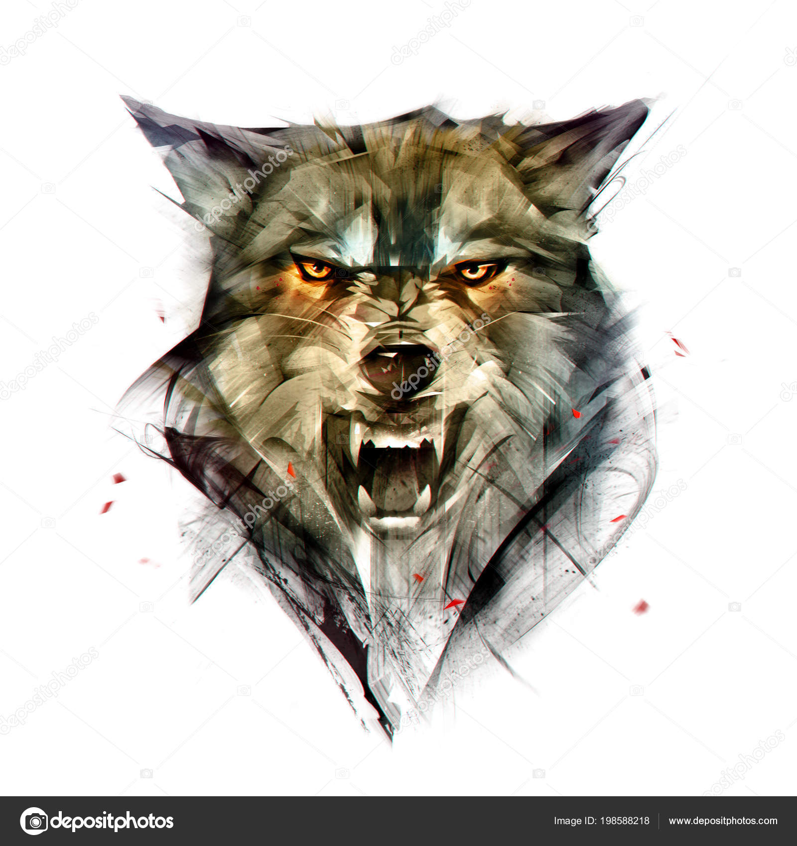 Lobo dibujo fotos de stock, imágenes de Lobo dibujo sin royalties |  Depositphotos