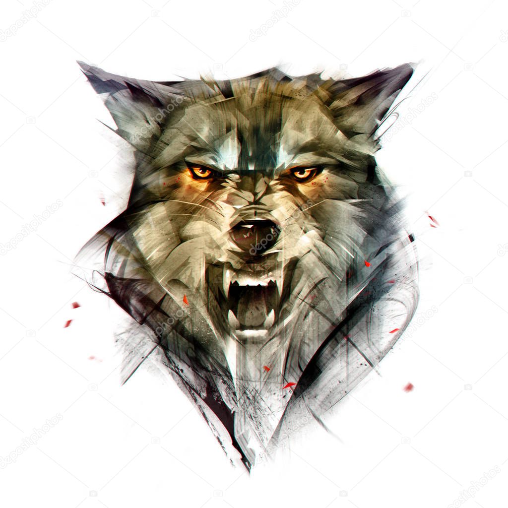 drawn isolated color portrait of a wolf animal