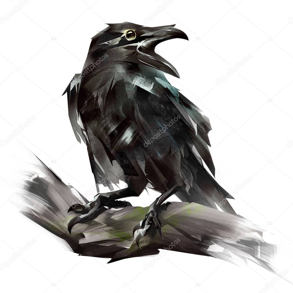 painted Raven bird sitting on a branch
