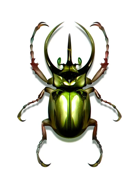 Scarabeo verde insetto disegnato su sfondo bianco — Foto Stock