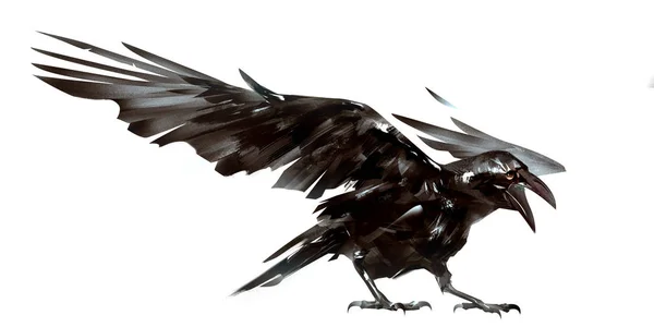 Drawn isolated the bird Raven on the wing — Stock Photo, Image