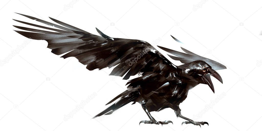 drawn isolated the bird Raven on the wing
