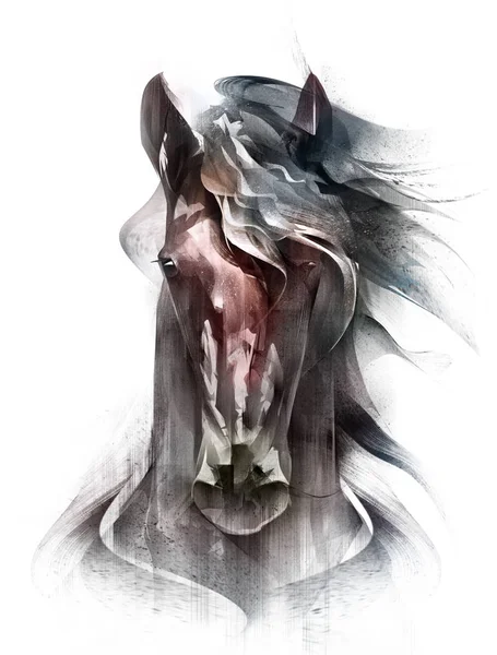 Раскрашенный цветной портрет лошади, изолированный впереди — стоковое фото