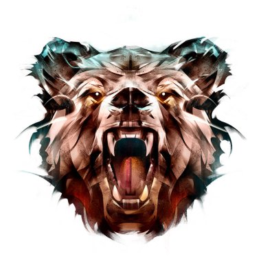 beyaz zemin üzerinde bir hayvan ayı portresi boyalı