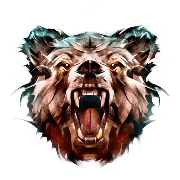 beyaz zemin üzerinde bir hayvan ayı portresi boyalı