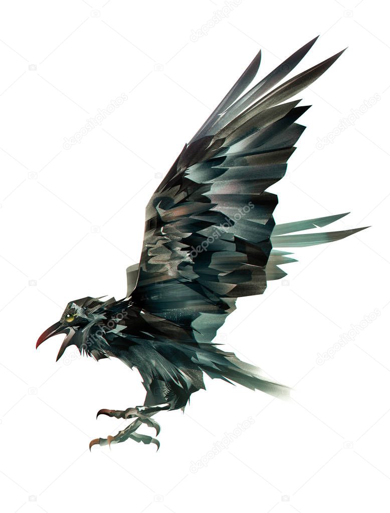 Art colored bird of crows on white background