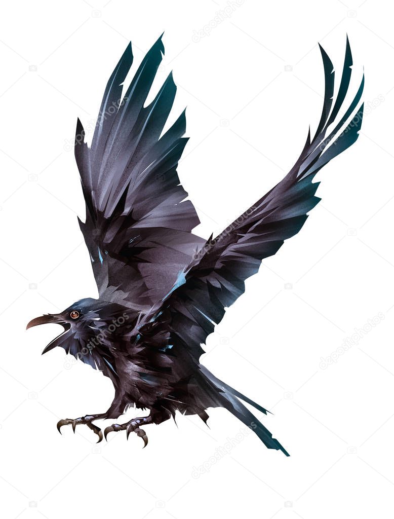 flying colored bird painted Raven on a white background
