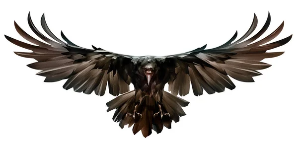 Розмальований кольоровий птах у польоті ворон фронт — стокове фото