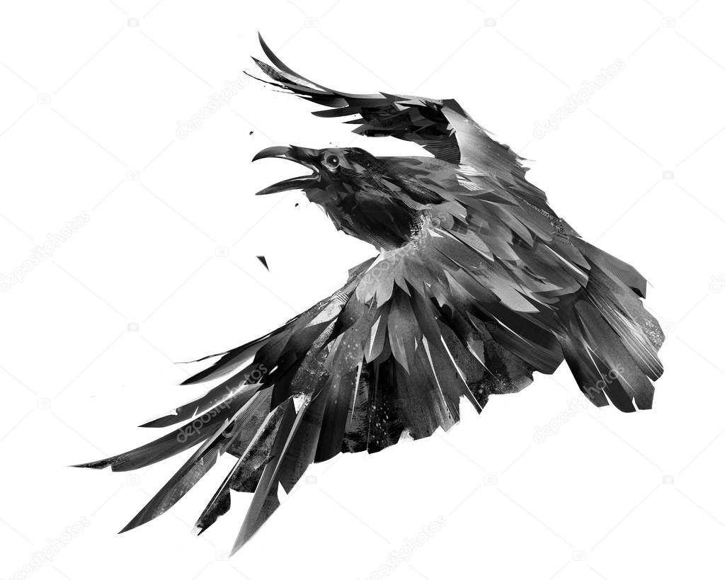 Sketch isolated raven bird in flight monochrome