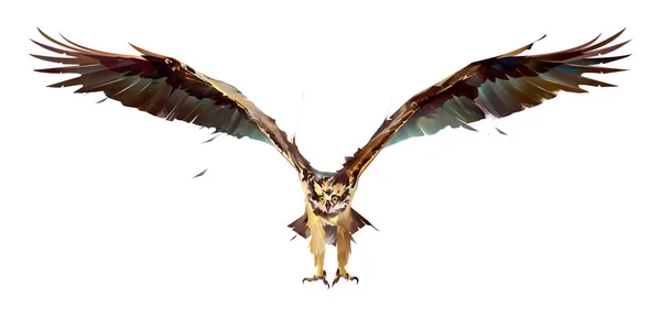 Falco pescatore dipinto in volo su sfondo bianco — Foto Stock
