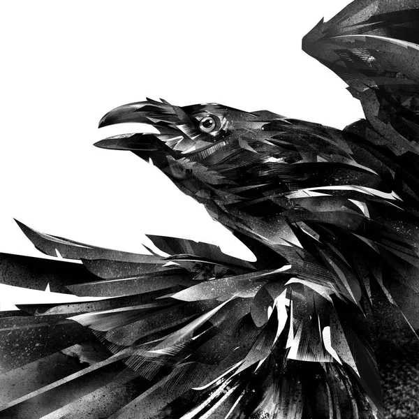 Нарисованный дизайнерский портрет ворона на белом фоне — стоковое фото
