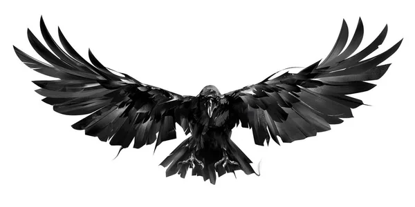 Pássaro corvo desenhado em voo em um fundo branco — Fotografia de Stock