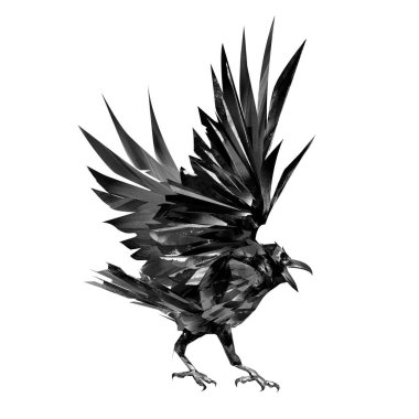 arkasından beyaz arka plan üzerinde çizilmiş karga kuş