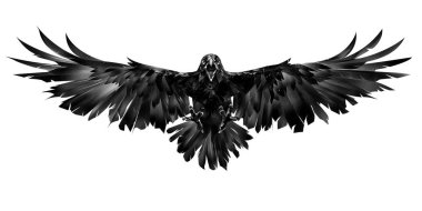 drawn flying raven on a white background clipart