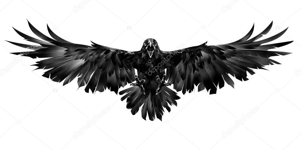 Art flying raven on a white background