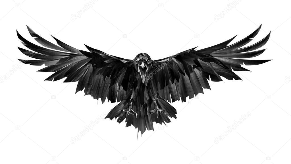 painted on a white background bird crow in attack front view