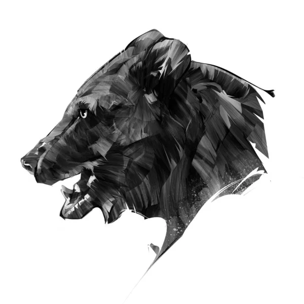 Drawn portrait of a bear on a white background side view — Stock Photo, Image