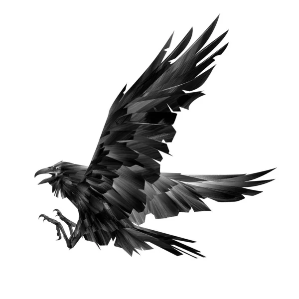 Ζωγραφισμένο πουλί rook σε λευκό φόντο κουνάει τα φτερά του γυρνώντας γύρω — Φωτογραφία Αρχείου