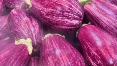 Canlı bir mor patlıcan koleksiyonu güzel bir şekilde üst üste yığılır ve parlak, taze derileri sergilenir.