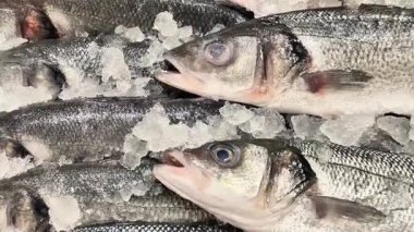 Buzda balık, taze ve kaliteli, deniz ürünleri severler ve aşçılar için idealdir..