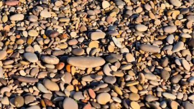 Çeşit çeşit çakıl taşlarının yakınlaştırılması, dingin bir sahilde renk ve dokular çeşitliliği