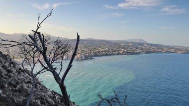 Dik bir uçurumdan çekilen nefes kesici bir okyanus manzarası. Issız, çorak bir ağaç ve gür, canlı bir kıyı şeridi sergiliyor.