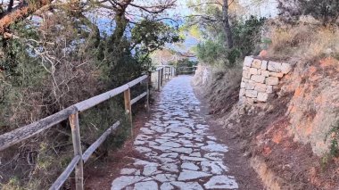 Bereketli ağaçlarla çevrili büyüleyici bir taş yol, huzurlu bir doğal ortamda neşeli bir keşfi davet eder.