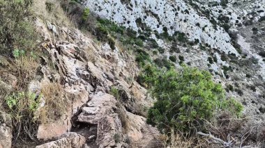 Çeşitli çalılarla benekli engebeli kayalık bir arazi sarp ve dramatik bir doğa manzarası sergiliyor.