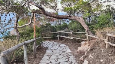 Resmedilmeye değer taş bir patika, yemyeşil sularda yol alır ve büyüleyici bir okyanus manzarasına yol açar.