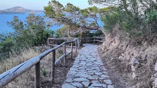 Büyüleyici okyanus manzaraları sunarken bereketli doğada süzülen güzel ve pitoresk bir taş yol.