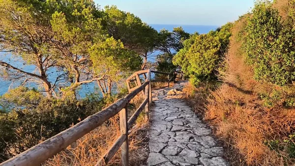 Serin bir sahil yolu boyunca yolculuğunuza başlayın yemyeşil ve görkemli deniz manzaralarıyla süslenmiş.
