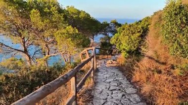Serin bir sahil yolu boyunca yolculuğunuza başlayın yemyeşil ve görkemli deniz manzaralarıyla süslenmiş.